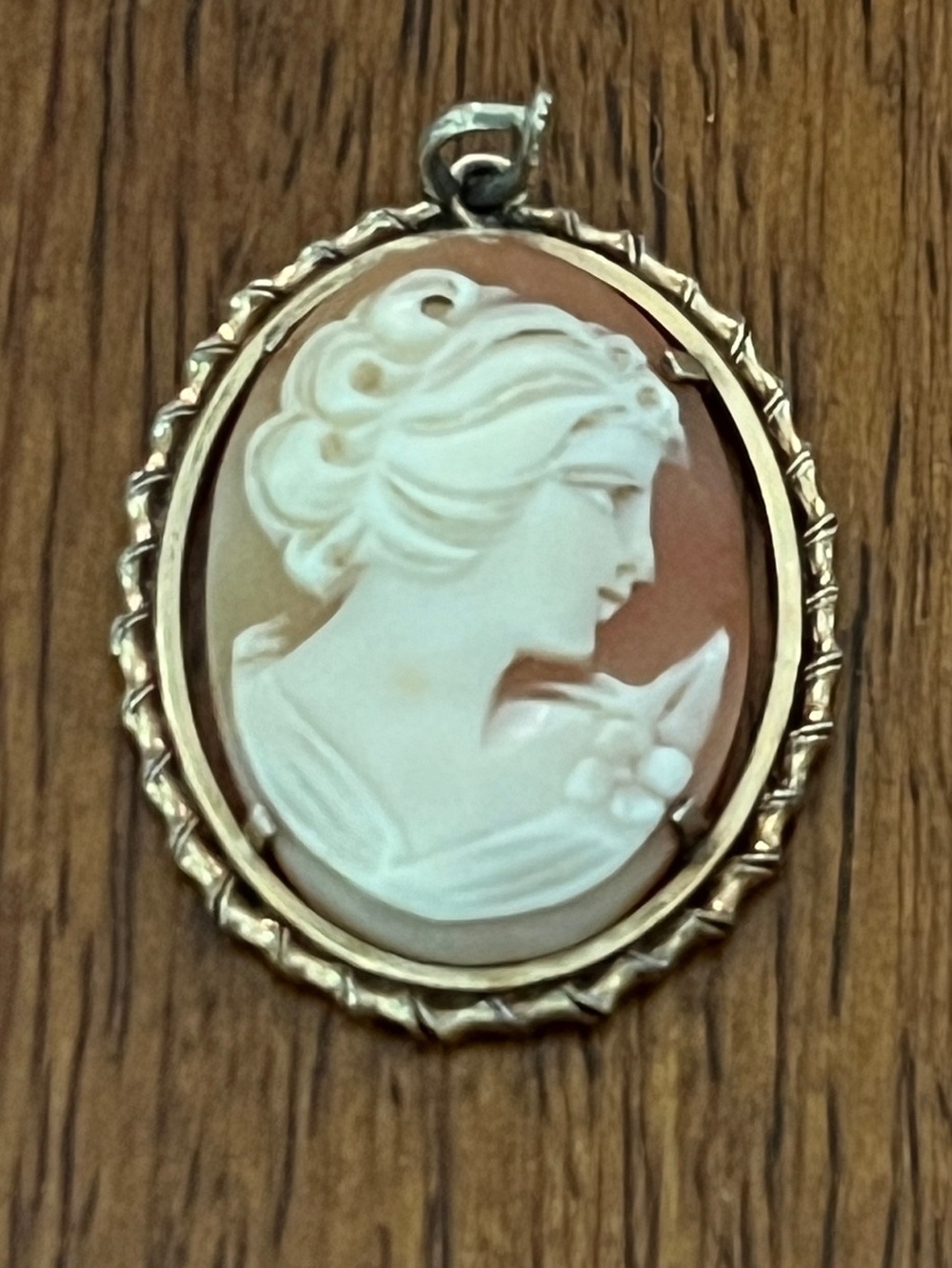 Vintage Cameo Pendant Necklace in Cream and Brown with Gold Frame